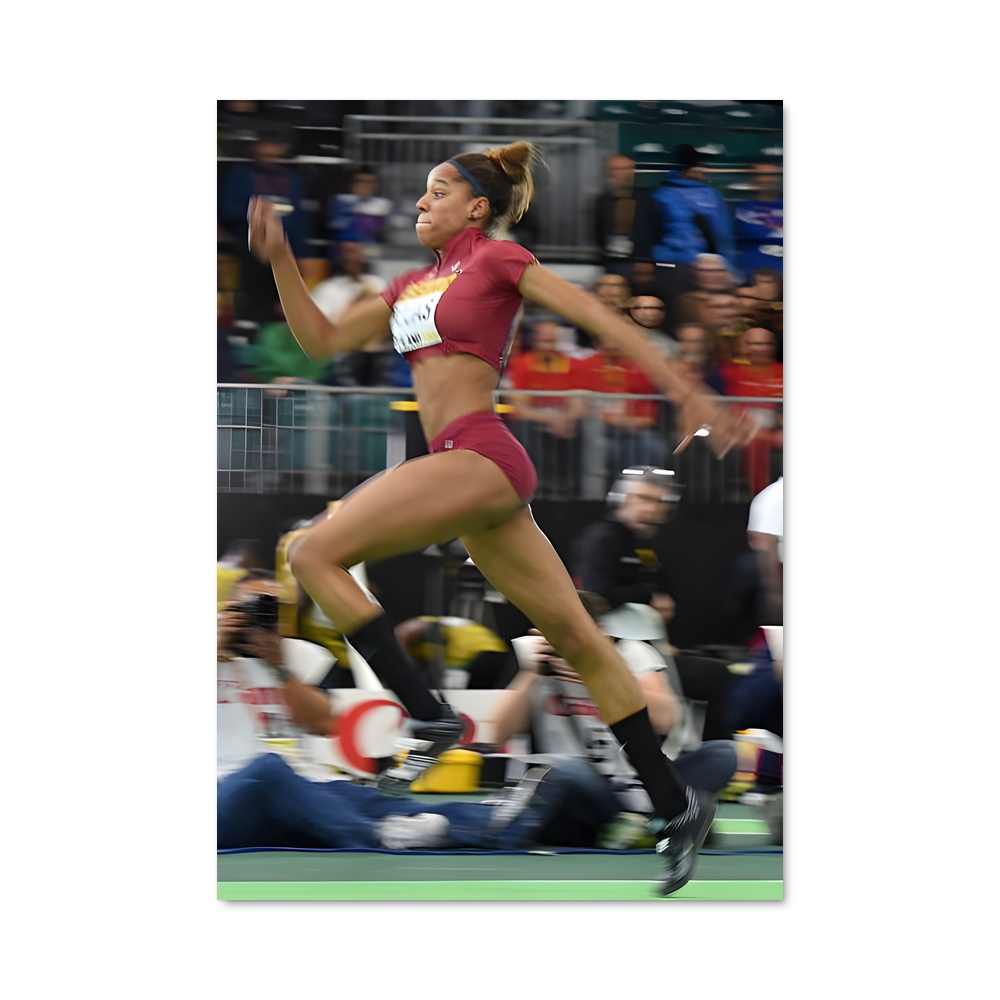 Poster Saut de Vie